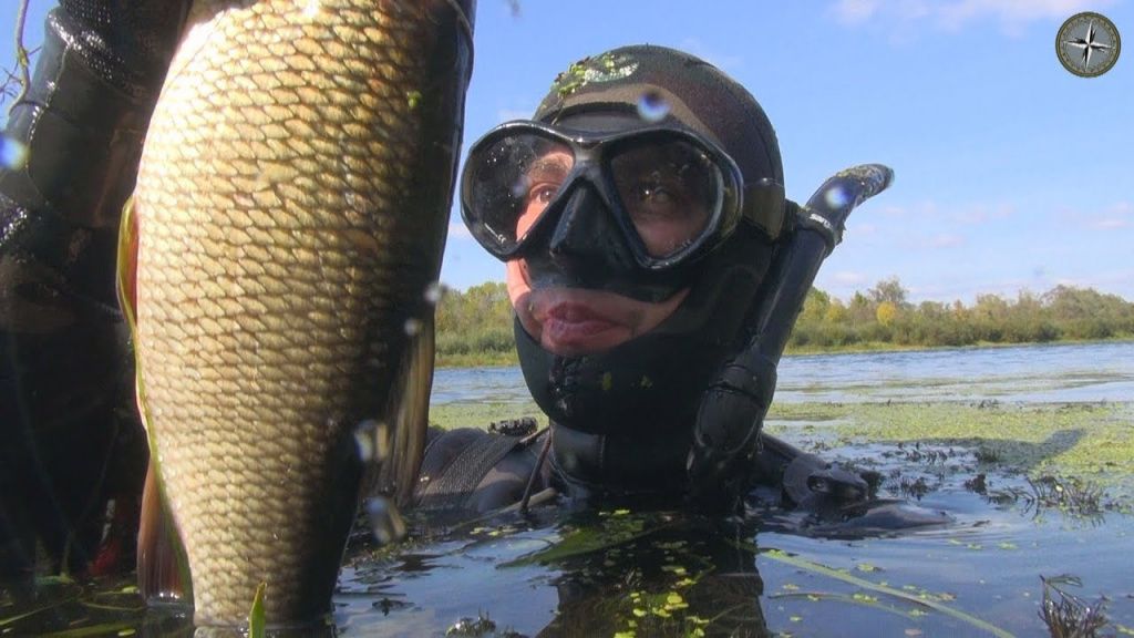 maxresdefault (2).jpg